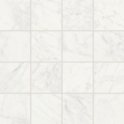 DMAG 88 Mosaic
