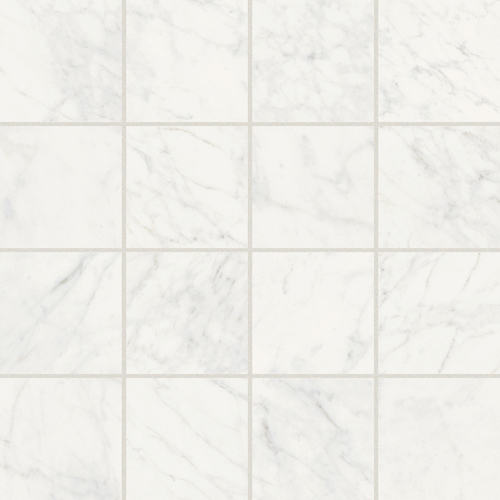 DMAG 88 Mosaic