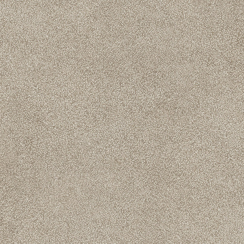 DMAG 178 Lithos