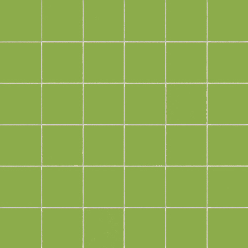 DCORL 20 Mosaic