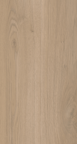 EVPE 521