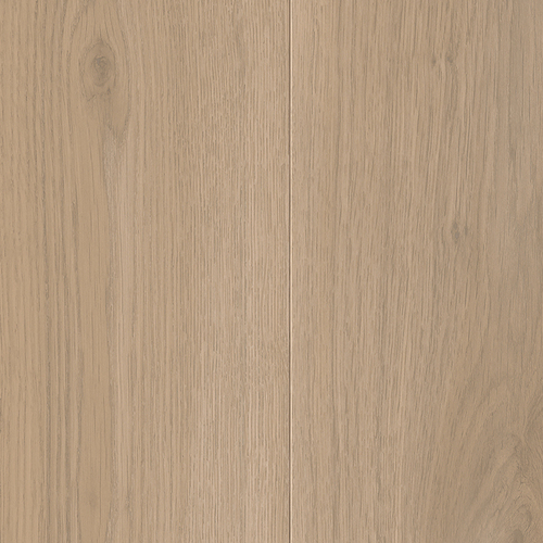 EVPE 521