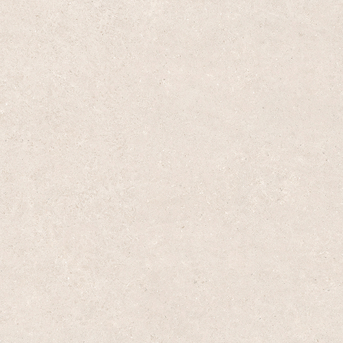 DLBFS 09