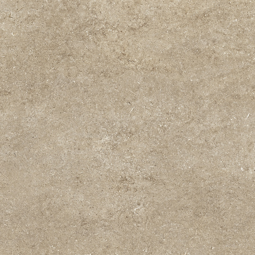 DCSNF 04 Fossil