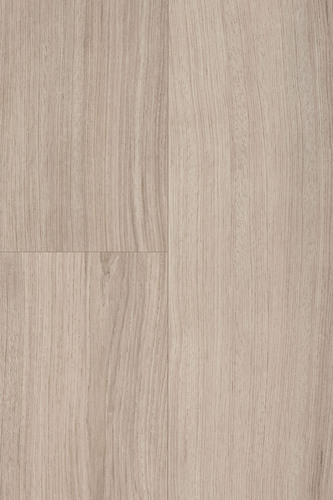 EVLX 102-55