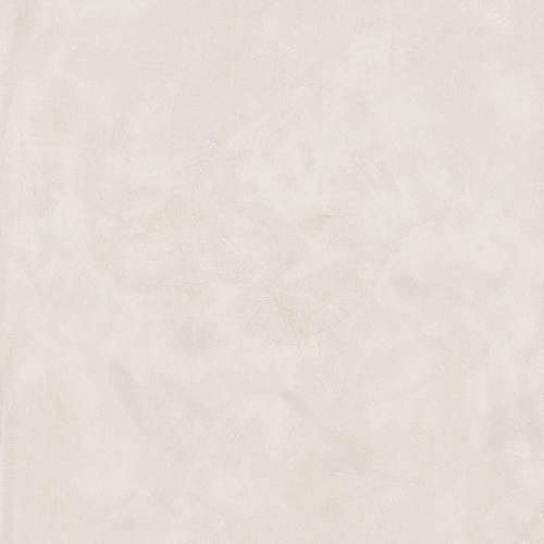 DMAG 21