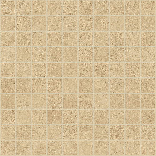 DCMU 07 Mosaic