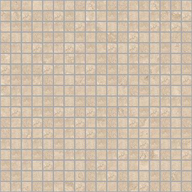 DGSI 03 Cross Mosaic