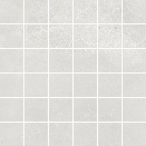 DLGF 05 Mosaic