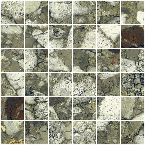 DSAV 07 Mosaic