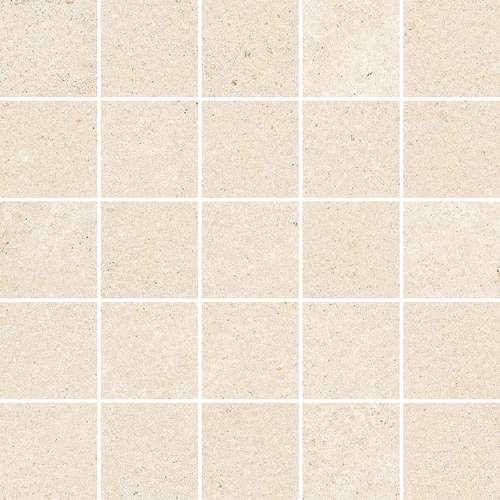 DSAUT 02 Mosaic