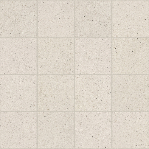 DMAG 202 Mosaic