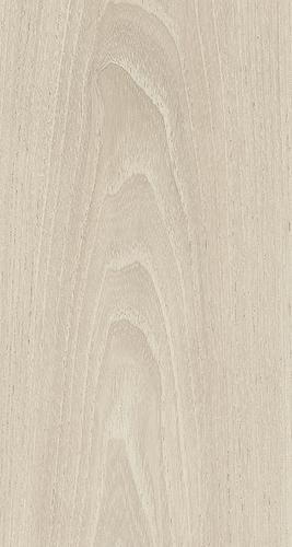 ELPE 343