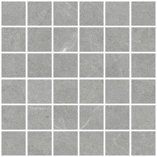 DLVN 02 Mosaic