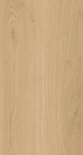 EVPE 536