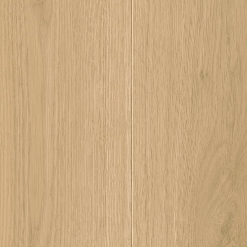 EVPE 536