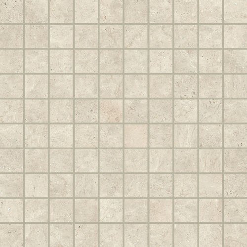 DFSN 02 Mosaic