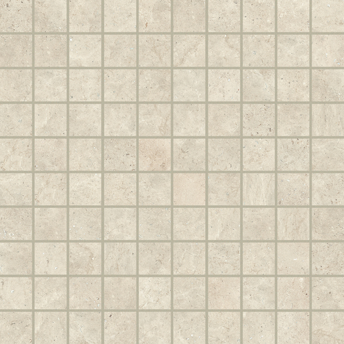 DFSN 02 Mosaic