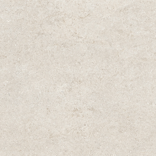 DCSNF 01 Fossil