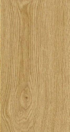 ELPE 460