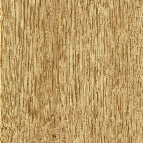 ELPE 460