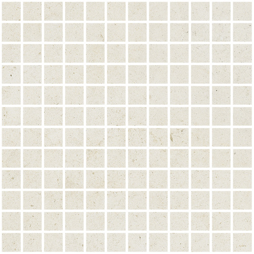 DLBF 01 Mosaic