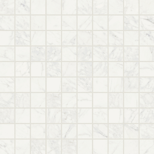 DFSN 01 Mosaic