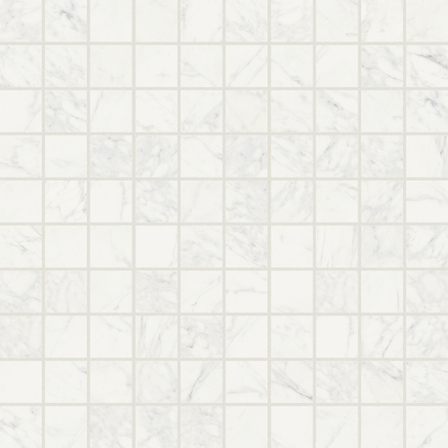DFSN 01 Mosaic
