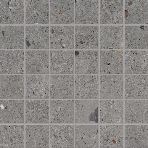 DPEG 04 Mosaic