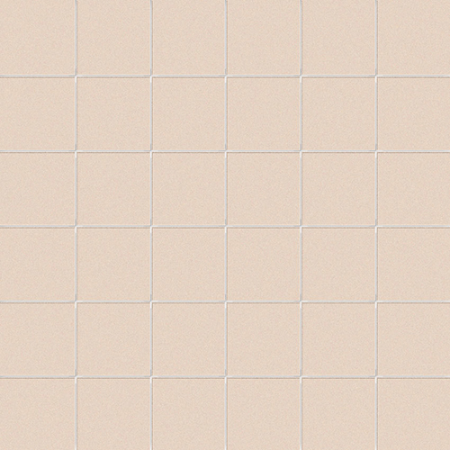 DCORL 08 Mosaic