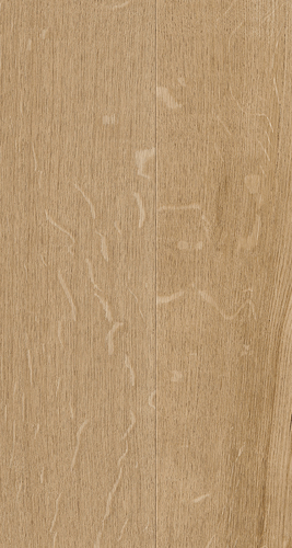 EVPE 523
