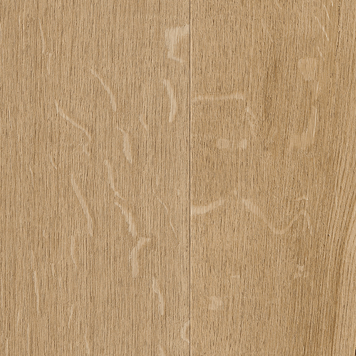 EVPE 523