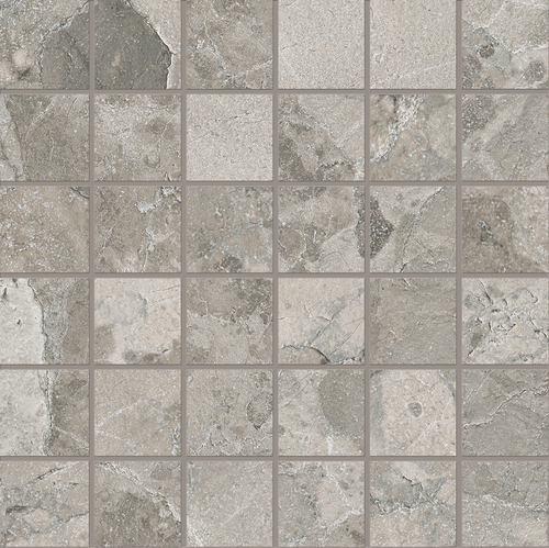 DEMTS 04 Mosaic