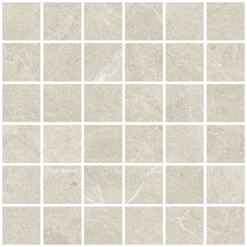 DLVN 01 Mosaic