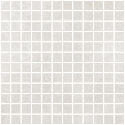 DLFS 01 Mosaic