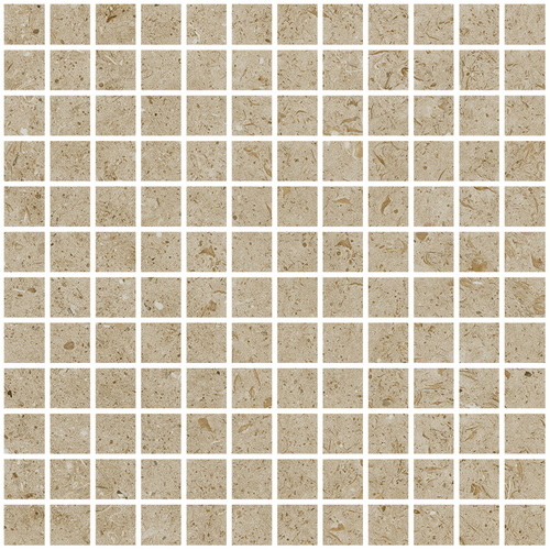 DLBF 04 Mosaic