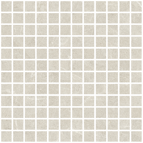 DLVN 01 Mosaic