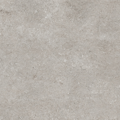 DCSNF 03 Fossil