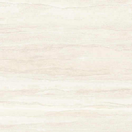 DGSI 05 Vein