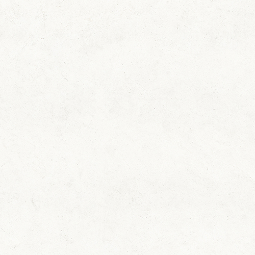 DLBFS 08