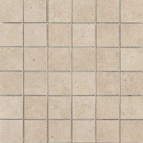 DYSS 01 Mosaic