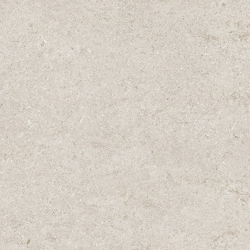 DMAG 175 Fossil