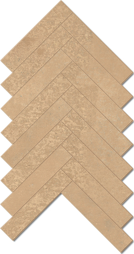 DFPT 03 Spina Mosaic