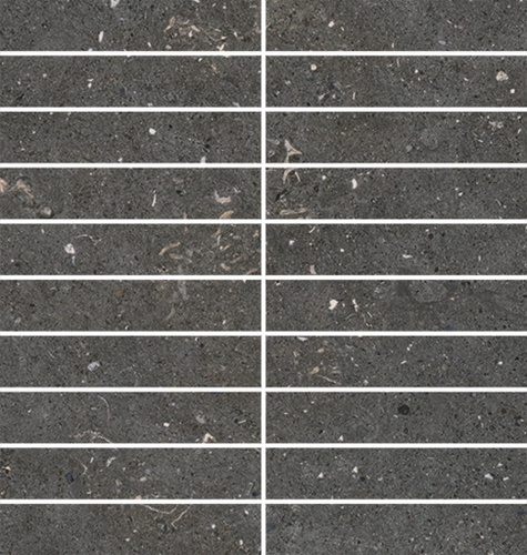 DLBF 07 Mosaic