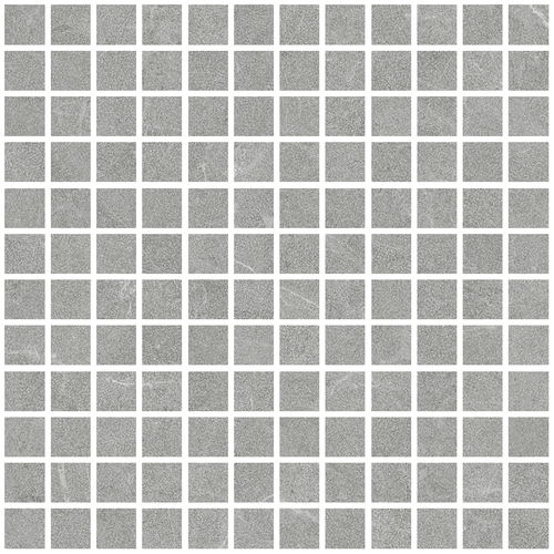 DLVN 02 Mosaic