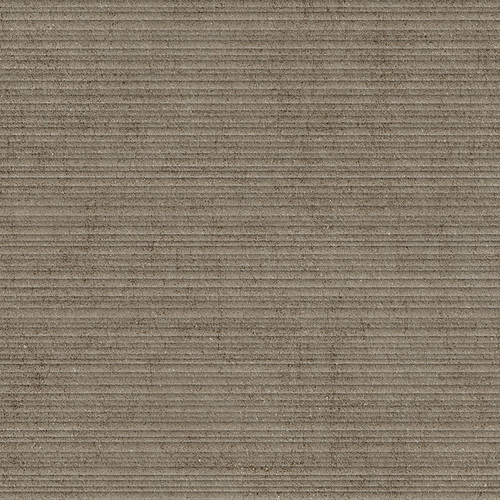 DLTW 03 Reed