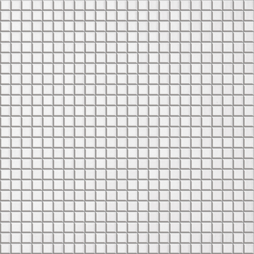 ANT 13 Mosaic