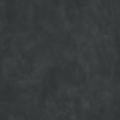 DMAG 262