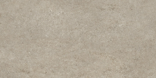 DMAG 179 Fossil