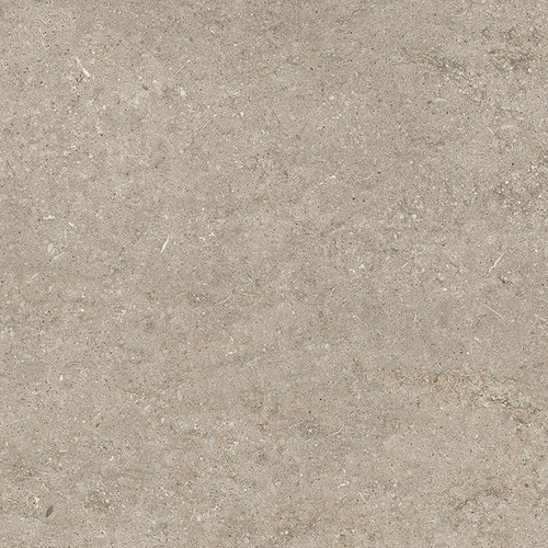DMAG 179 Fossil